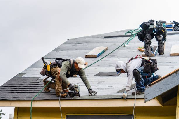 Professional Storm Damage Roof Repair technician working in Triangle, VA